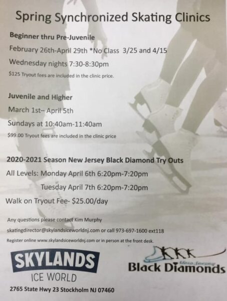 2020-Synchro-Tryouts-453x600